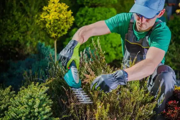 landscaping services Peconic
